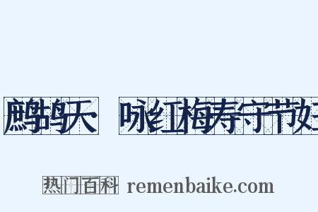 鹧鸪天·咏红梅寿守节妇是什么意思的图片